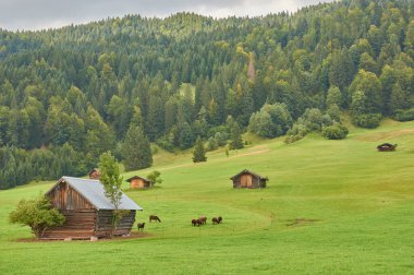 Dağ kulübeleri ve Alplerinde dağ gölü olan güzel bir dağ manzarası..