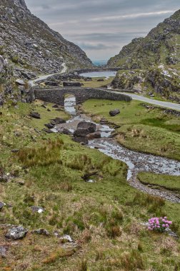 Dunloe, İrlanda 'da küçük bir yol var. Dunloe, İrlanda 'nın panoramik manzarası. İrlanda 'daki Dunloe Geçidi' nden küçük bir dere akıyor..
