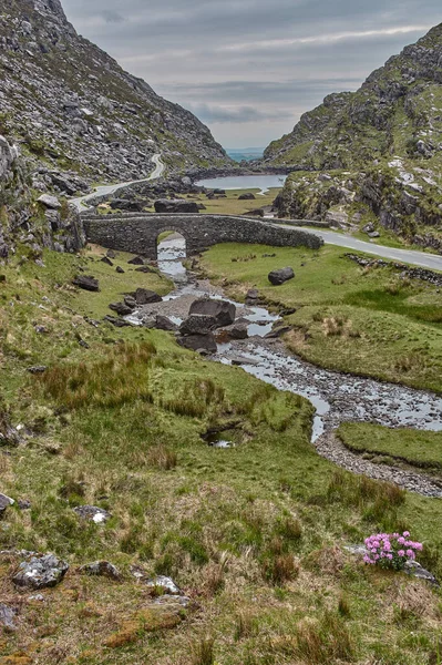 Petite Route Serpentant Travers Écart Dunloe Irlande Vue Panoramique Sur — Photo