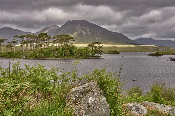 アイルランドのConnemara国立公園の美しい山の湖 アイルランドのコンネマラ国立公園にある孤独な山の風景 — ストック写真