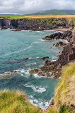 İrlanda 'nın yeşil çayırlı kıyı şeridi. İrlanda 'nın manzaralı kıyı şeridi. Dingle Yarımadası, İrlanda 'da kayalıkları olan güzel kıyı şeridi.
