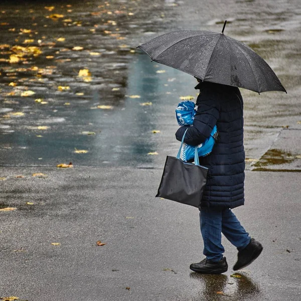 Person with umbrella walks through the rain. Person with umbrella walks across a wet street. Person with umbrella in the rain. Autumn leaves on the wet street.