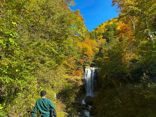 Shirakawa, Japonya 'da sonbahar mevsiminde güzel bir şelaleye bakan biri..
