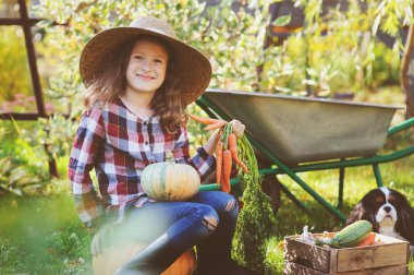 küçük çiftçi sonbahar bahçesinde oynarken ve sebze hasat toplama spaniel köpek ile mutlu bir çocuk kız. Taze havuç, zuccini ve kabaklar büyüyen