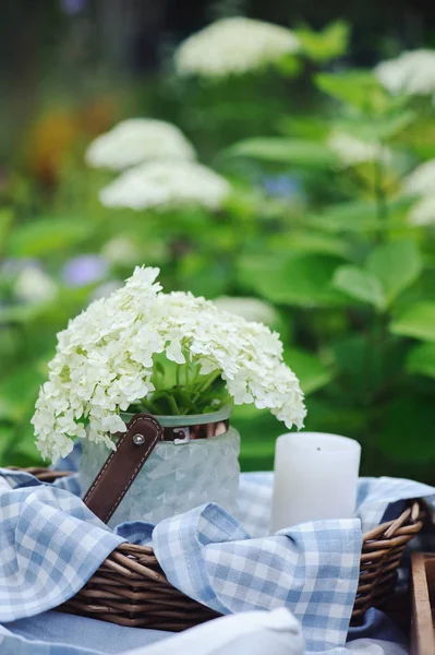 Flores Hortensias Frasco Vintage Con Vela Mantel Azul Jardín Verano — Foto de Stock