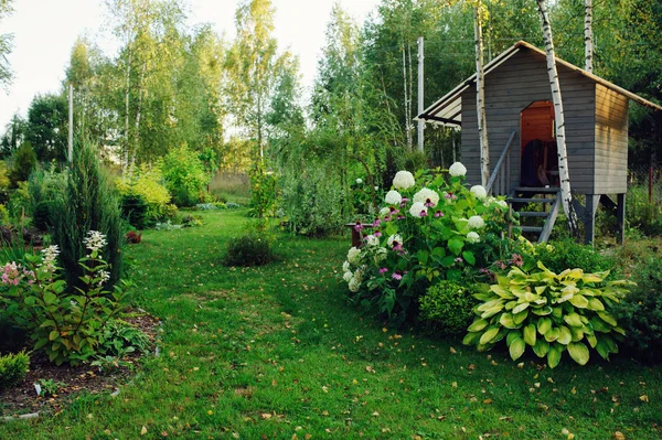 country garden view with wooden house lawn and perennials in sunny day