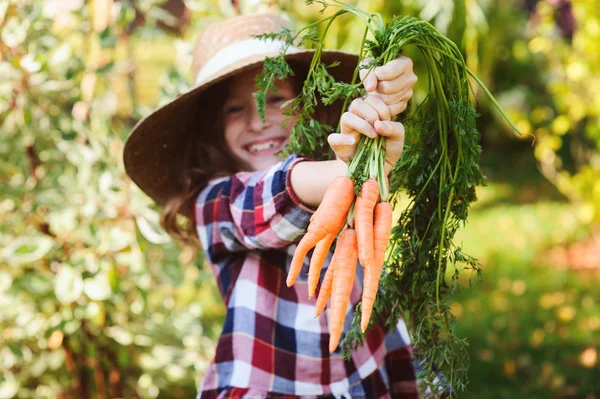 Happy Farmář Dívka Dítě Sbíráme Čerstvé Domácí Růst Mrkev Sklizně — Stock fotografie