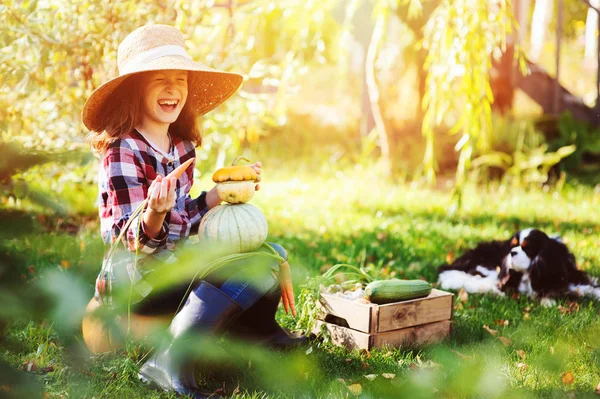 Šťastné Dítě Dívka Kokršpaněl Pes Hrát Malý Farmář Podzimní Zahradu — Stock fotografie