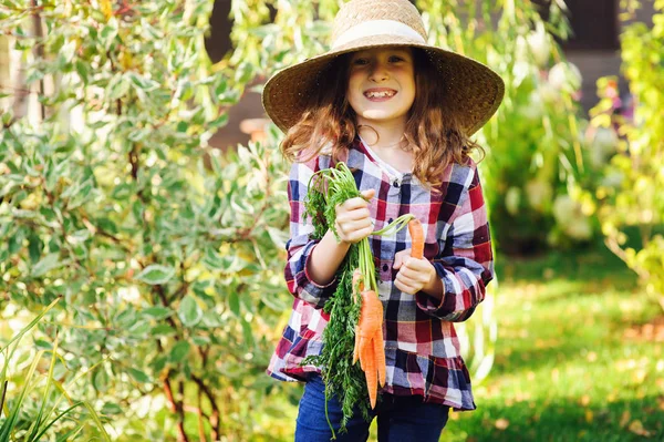 Glückliches Bauernmädchen Pflückt Frische Möhrenernte Aus Dem Eigenen Garten Saisonarbeit — Stockfoto