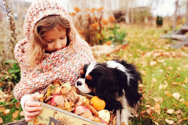 Šťastné Dítě Dívka Košem Jablek Hrát Pejskem Kavalír King Charles — Stock fotografie