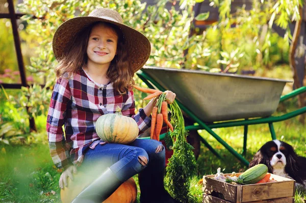 Šťastné Dítě Dívka Kokršpaněl Pes Hrát Malý Farmář Podzimní Zahradu — Stock fotografie