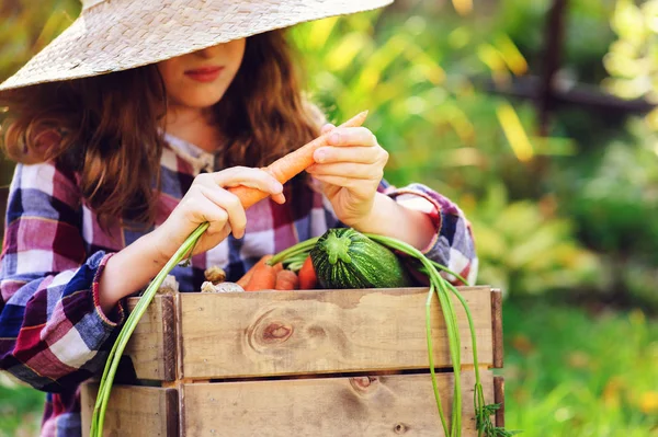 Niña Campesina Feliz Recogiendo Cosecha Otoño Caja Madera Cultivo Ajo —  Fotos de Stock