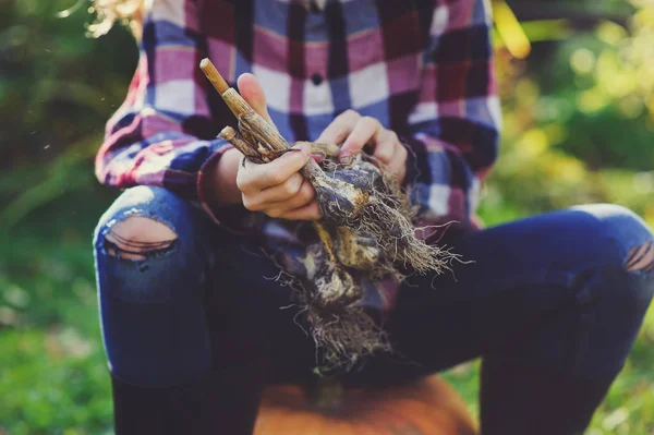 Farmář Dívka Dítě Sbíráme Čerstvé Domácí Růst Česnek Vlastní Zahrady — Stock fotografie