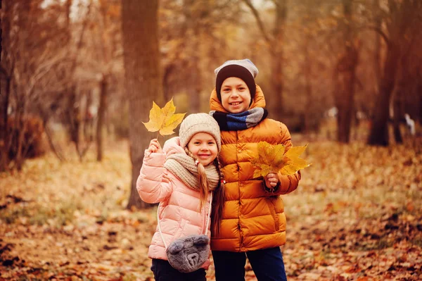 Őszi Park Szabadtéri Játék Boldog Gyerekek Portré Mosolyogva Testvérpár Séta — Stock Fotó