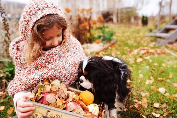 Happy Kid Girl Basket Apples Playing Her Cavalier King Charles — Stock Photo, Image