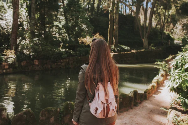 Pałacu Park Pena Sintra Portugalia Rainforest Wild Ferns Odkrywania Tajemnicy — Zdjęcie stockowe