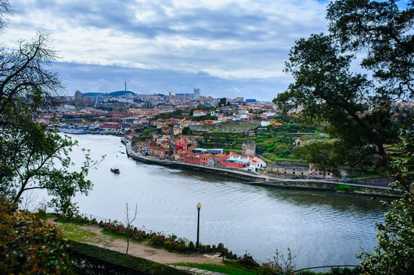 Pfau Spazieren Jardins Palacio Cristal Porto Portugal Blick Auf Den — Stockfoto