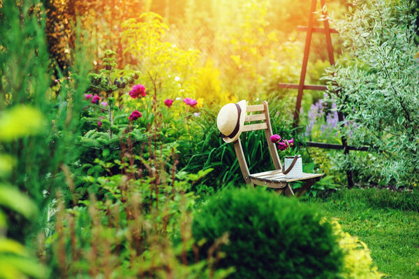 beautiful blooming summer private garden with wooden chair, gardener hat and watering can