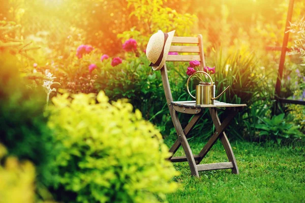 Piękny Kwitnący Lato Ogrodem Drewniane Krzesło Ogrodnik Kapelusz Podlewanie Może — Zdjęcie stockowe