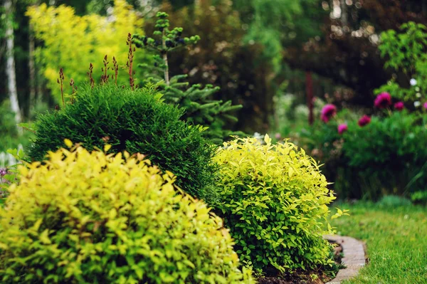 Privé Zomer Huisje Tuinzicht Met Gemengde Rand Decoratieve Struiken Coniferen — Stockfoto