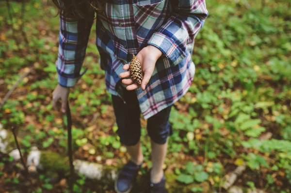 Niña Explorando Bosque Salvaje Mirando Cono Pino Campamento Verano Concepto —  Fotos de Stock