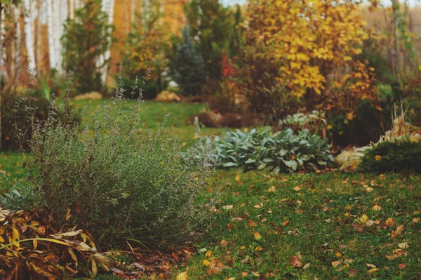 Podzimní Pohled Krásnou Soukromou Zahradu Anglickém Stylu — Stock fotografie