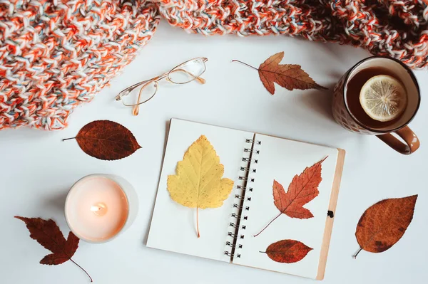 Cozy Autumn Still Life Details Sketch Book Dried Leaves Herbarium — Stock Photo, Image