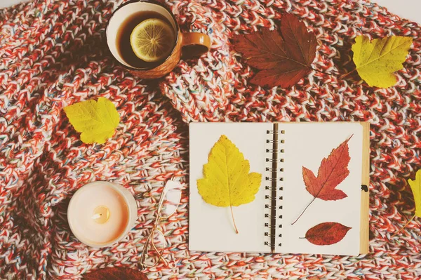 舒适的秋天静谧的生活细节与素描本 干燥的植物标本 热茶和针织毛毯 海格的概念 平躺在白色上 — 图库照片