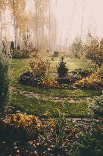 秋末或冬季花园清晨的雾 多霜美丽的乡村景色 有小路 草坪和植物 — 图库照片