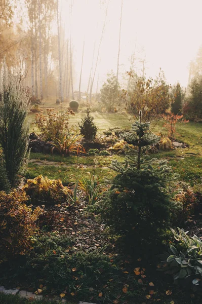 晩秋や冬の庭で早朝に霧が発生します パスウェイ 芝生と植物と霜の美しい田園風景 — ストック写真