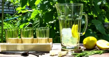 Hareket animasyonunu durdur. Ev yapımı ferahlatıcı limonata hazırlama süreci. Açık hava, yaz içkisi.