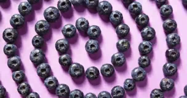 Blueberry Hypnosis Stop Motion Animation — Stock Video