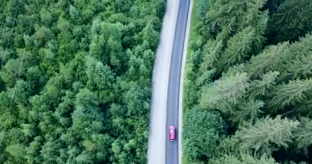 Vista aerea della foresta estiva con una strada. Catturati dall'alto con un drone. Viaggio in auto — Video Stock