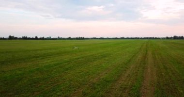 Leylek yeşil alanda uçar.