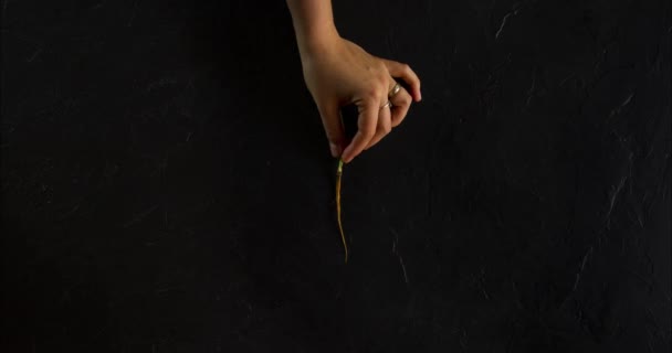 Остановить движение анимации женщин руки растения морковь и он растет — стоковое видео