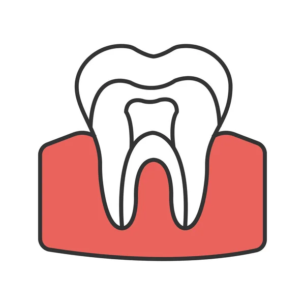 Значок Цвета Анатомической Структуры Зуба Белом Фоне — стоковый вектор