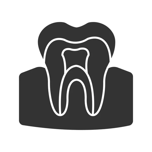 Diş Anatomik Yapısı Glif Simgesi — Stok Vektör