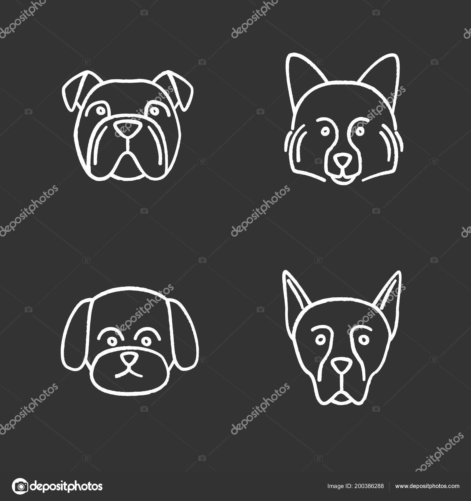 dog chalk