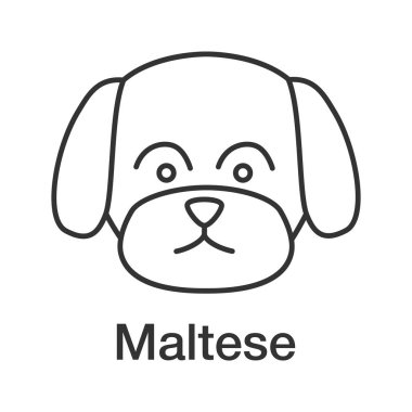Malta doğrusal simgesi. İnce hat illüstrasyon. Oyuncak köpek doğurmak. Kontur sembolü. Çizim vektör izole anahat