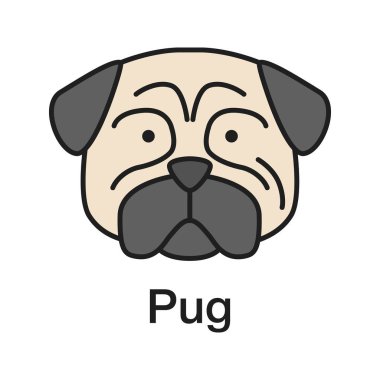 Pug renk simgesi. Paspas. Eşlik eden köpek doğurmak. İzole vektör çizim