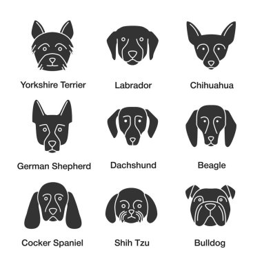 Köpekler doğurmak glif Icons set. Yorkshire korkunç, Labrador, Alman çoban, Chihuahua, dachshund, beagle, Cocker Spaniel, Shih Tzu, İngilizce Bulldog. Siluet simgeler. İzole vektör illustratio