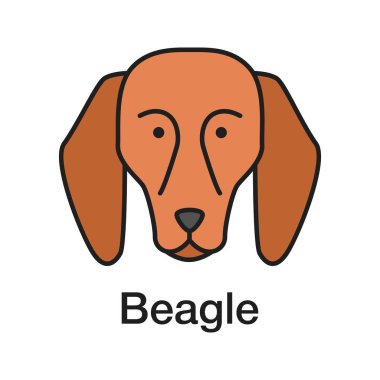 Beagle renk simgesi. Tazı köpek doğurmak. İzole vektör çizim