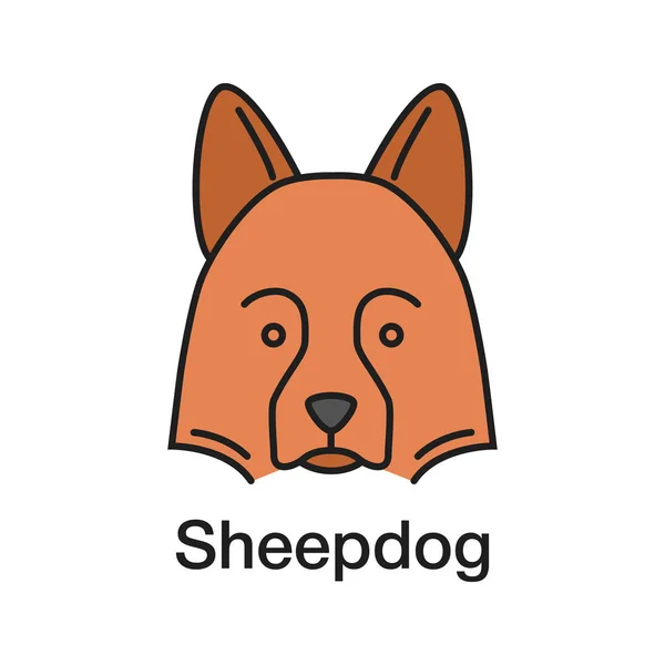 Pictogram Van Kleur Van Shetland Sheepdog Herdershond Geïsoleerde Vectorillustratie — Stockvector