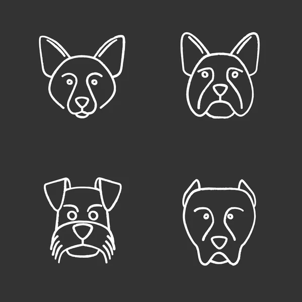 Perros Razas Tiza Iconos Conjunto Border Collie Bulldog Francés Miniature — Vector de stock