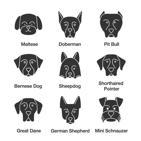 Hunde Züchten Glyphen Symbole Malteser Dobermann Pitbull Berner Hund Schäferhund — Stockvektor