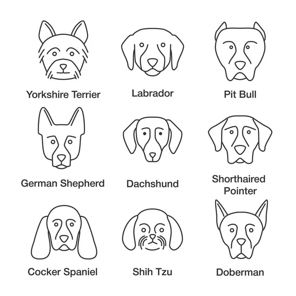 Los Perros Reproducen Iconos Lineales Establecidos Símbolos Línea Delgada Yorkshire — Vector de stock