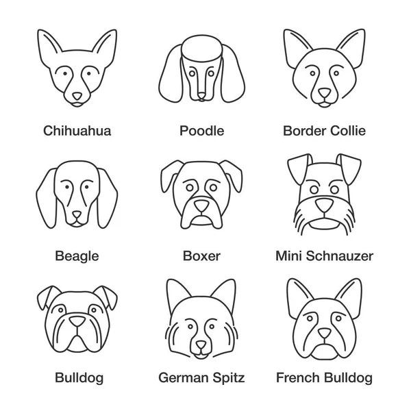 Los Perros Reproducen Iconos Lineales Establecidos Símbolos Contorno Línea Delgada — Archivo Imágenes Vectoriales