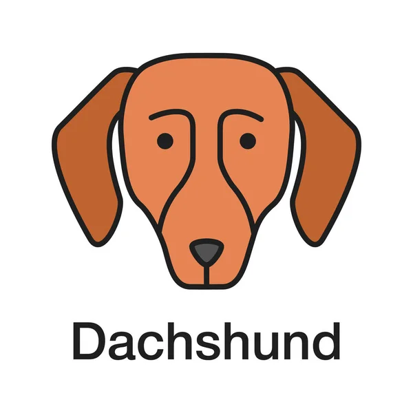 Icono Color Dachshund Perro Caliente Cría Perros Sabuesos Ilustración Vectorial — Archivo Imágenes Vectoriales