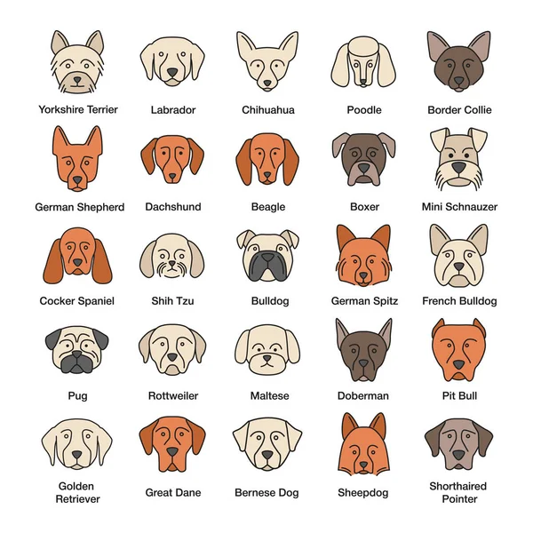 Los Perros Reproducen Iconos Color Establecidos Guía Guardián Caza Perros — Vector de stock