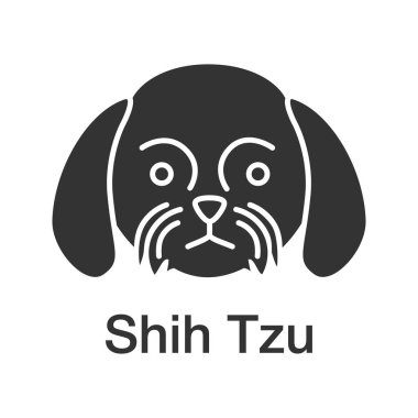 Shih Tzu glif simgesi. Krizantem köpek doğurmak. Siluet simge. Negatif alan. İzole vektör çizim